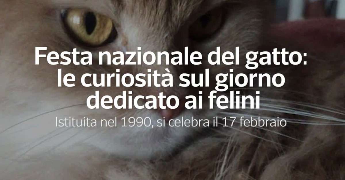 Festa nazionale del gatto: le curiosita' sul giorno dedicato ai felini - Video - Trentino