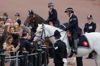 People pet a police horse in London on September 19, 2022, as they gather to attend the procession to be held after the State Funeral Service of Britain's Queen Elizabeth II. - Leaders from around the world attended the state funeral of Queen Elizabeth II. The country's longest-serving monarch, who died aged 96 after 70 years on the throne, was honoured with a state funeral on Monday morning at Westminster Abbey. (Photo by Odd ANDERSEN / AFP)