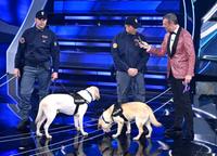 Sanremo Festival host and artistic director Amadeus (R)  with Italian police canine unit on stage at the Ariston theatre during the 74th Sanremo Italian Song Festival, Sanremo, Italy, 09 February 2024. The music festival will run from 06 to 10 February 2024. ANSA/RICCARDO ANTIMIANI