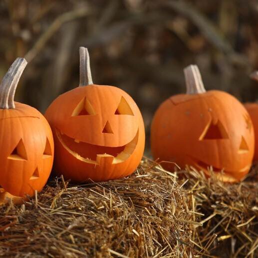 Feste di Halloween in Trentino: ecco le proposte