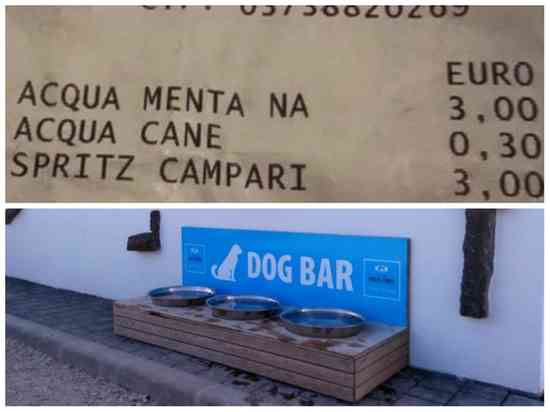 dogbar